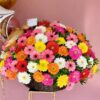 Ramo de Gerberas "Alegría Pura"